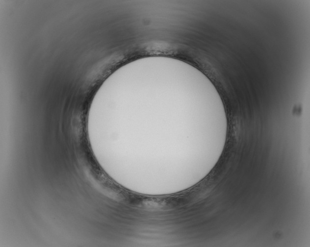 X0000113170690200910161308