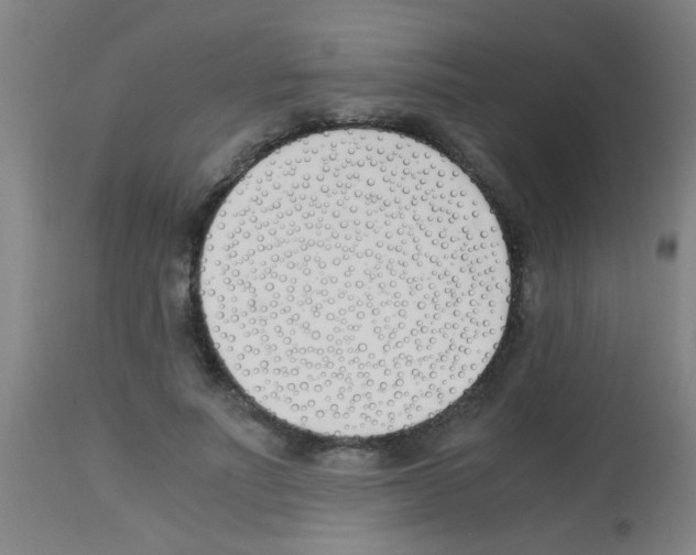 X0000113170691200910161308