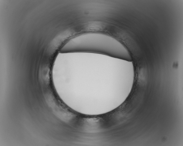 X0000113170692200910161308