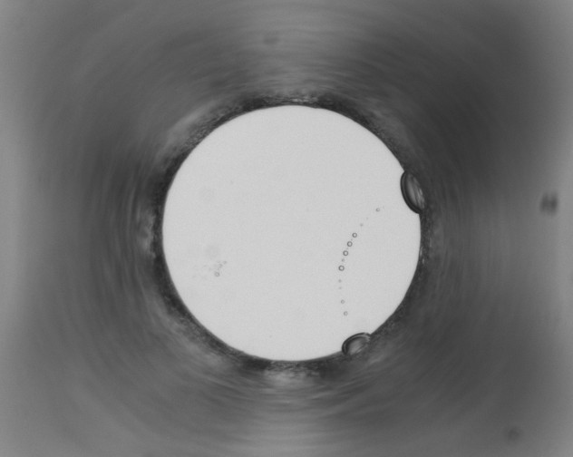 X0000113170693200910161308