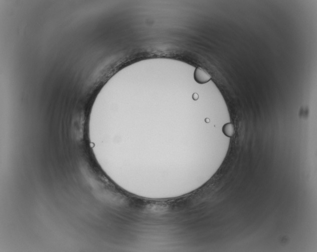 X0000113170694200910161308