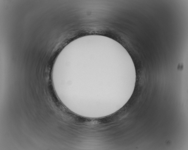 X0000113170695200910161308