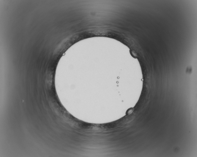 X0000113170697200910161308