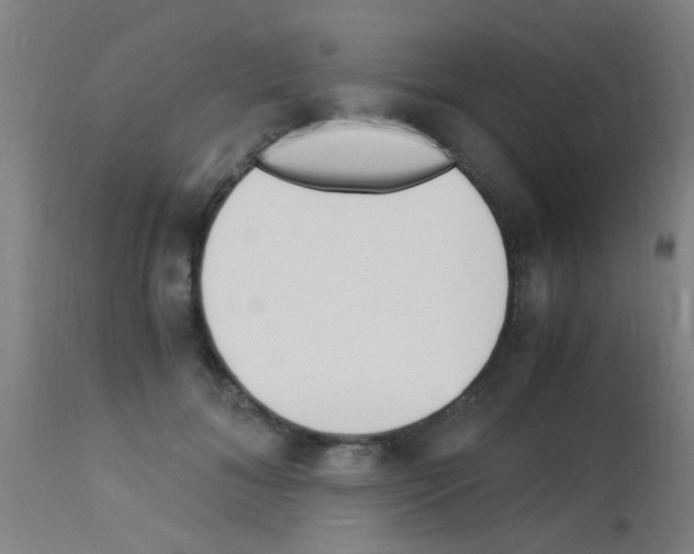 X0000113170700200910161308
