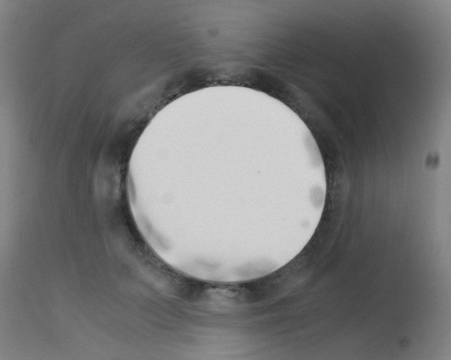 X0000113170703200910161308