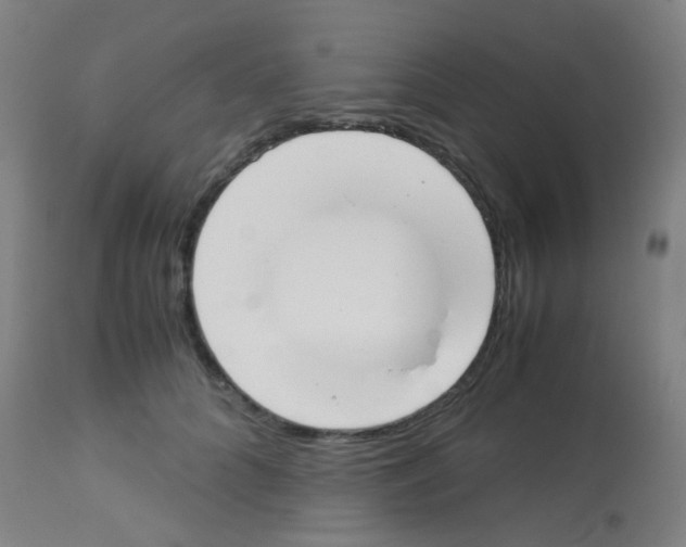 X0000113170704200910161308