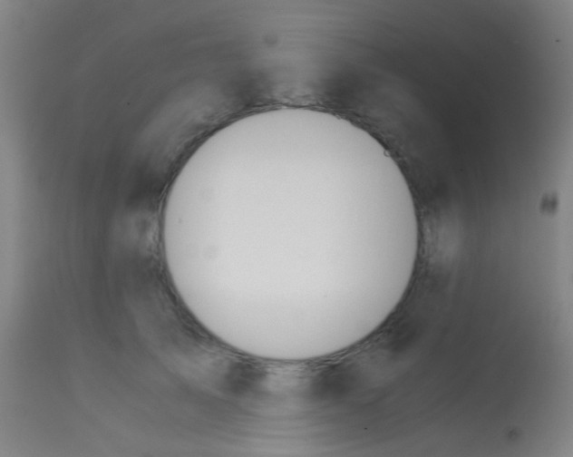 X0000113170705200910161308