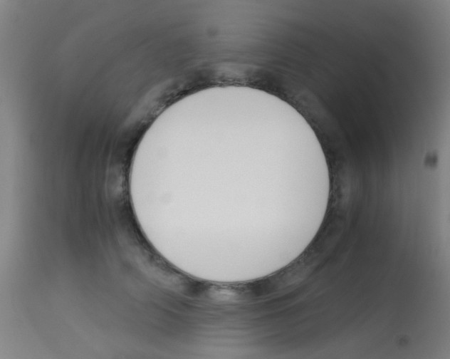 X0000113170706200910161308
