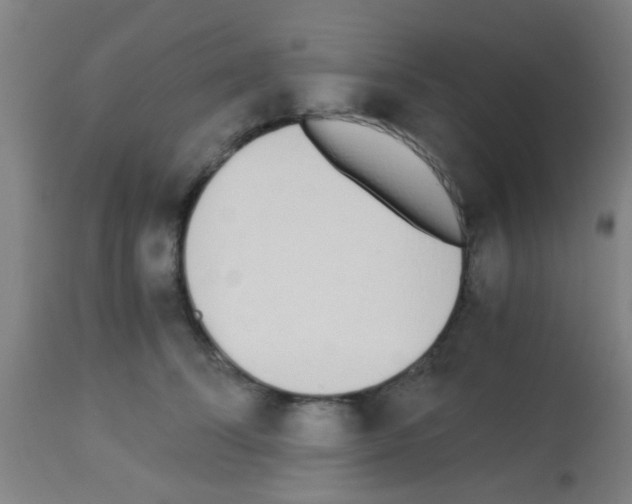X0000113170708200910161308