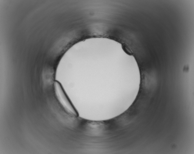X0000113170712200910161308