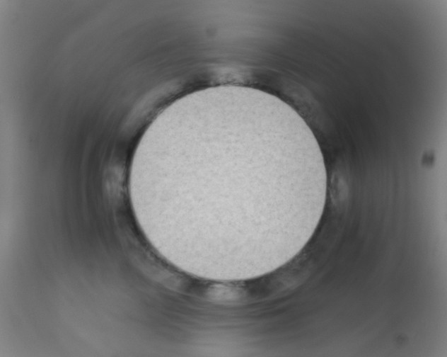 X0000113170714200910161307