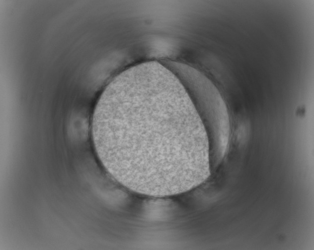 X0000113170716200910161307