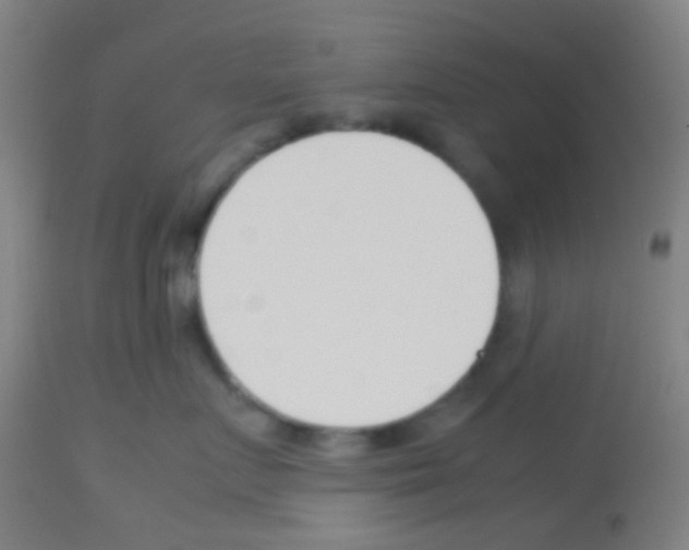 X0000113170719200910161307