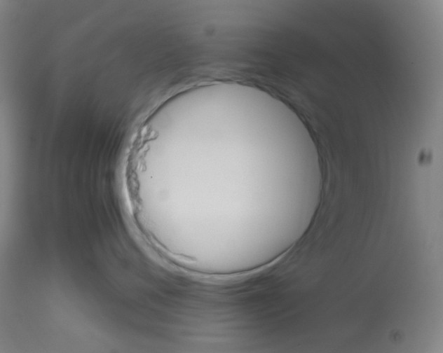 X0000113170720200910161307