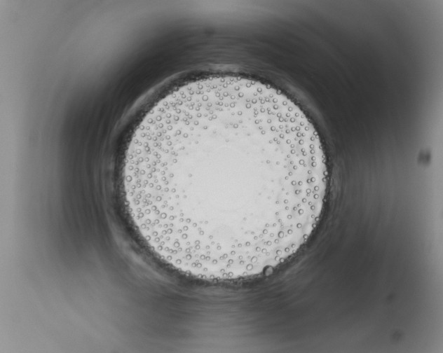 X0000113170722200910161307