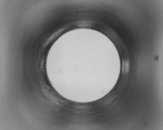 X0000113170723200910161307