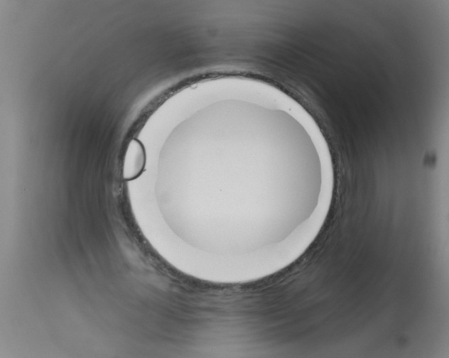X0000113170724200910161307