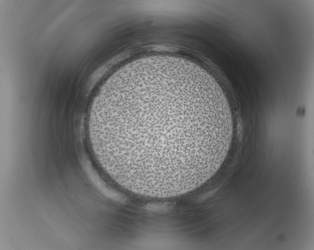 X0000113170725200910161307