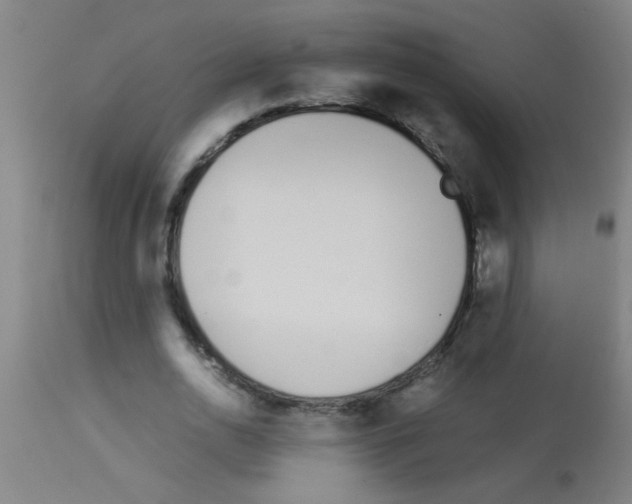 X0000113170726200910161307