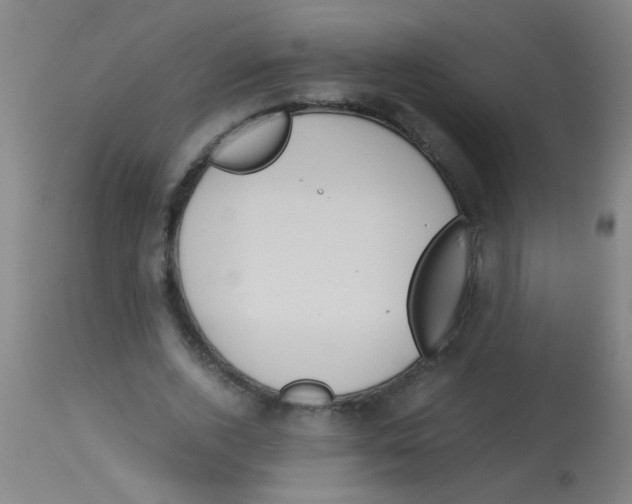 X0000113170728200910161307