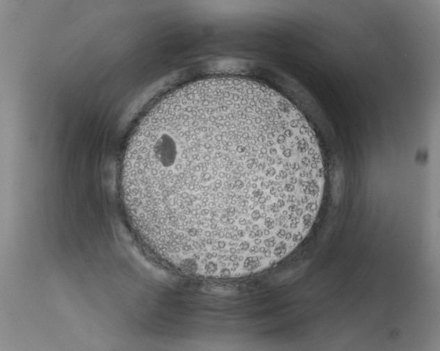 X0000113170729200910161307