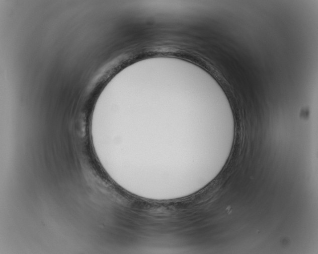 X0000113170731200910161307