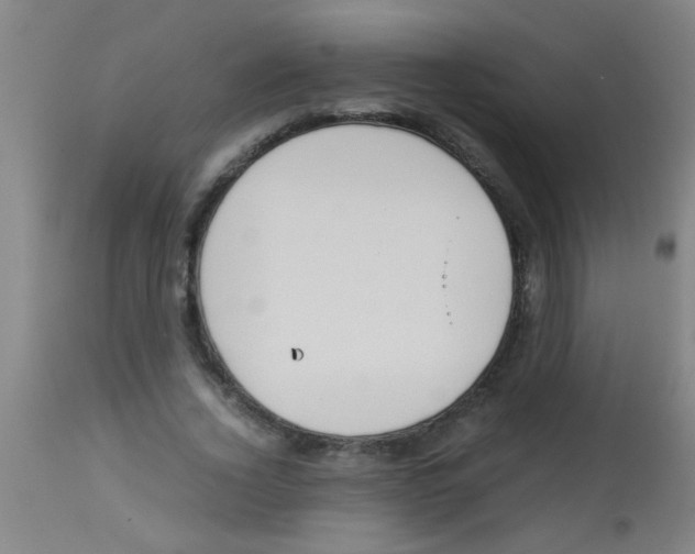 X0000113170732200910161307