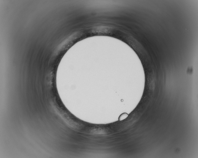 X0000113170735200910161307