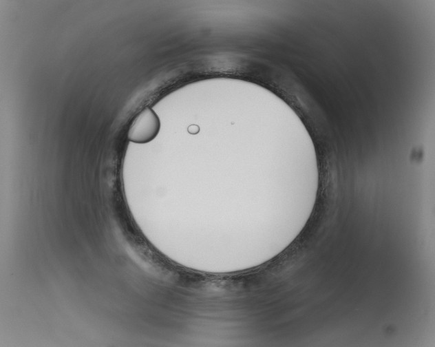 X0000113170736200910161307