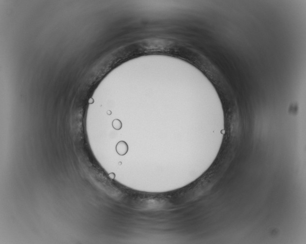 X0000113170737200910161307