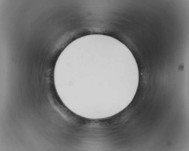 X0000113170738200910161307