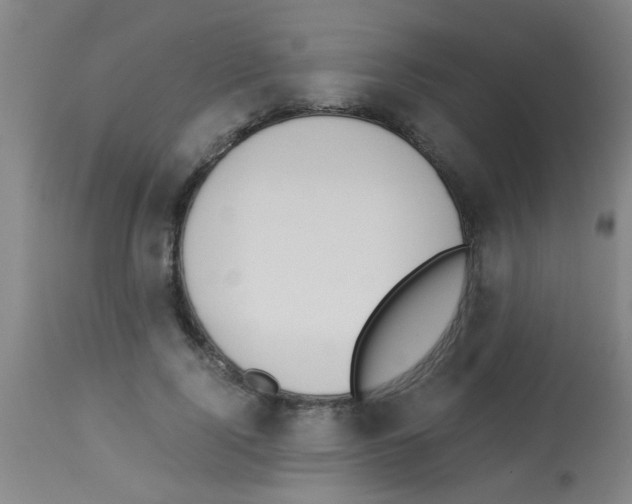 X0000113170740200910161307