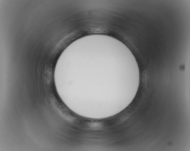 X0000113170741200910161307