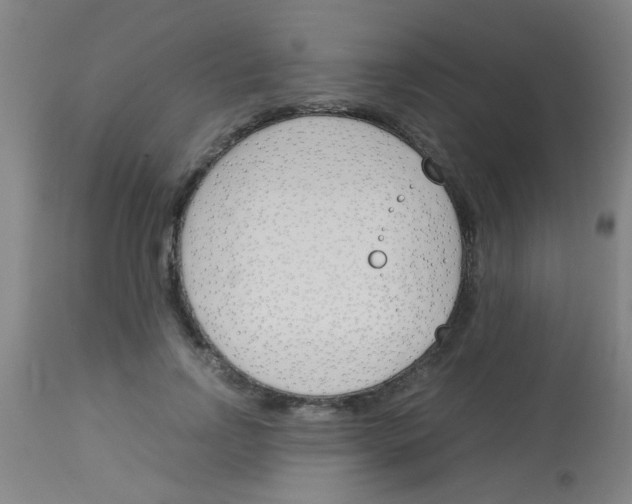 X0000113170742200910161307