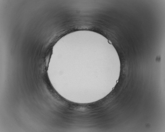 X0000113170743200910161307