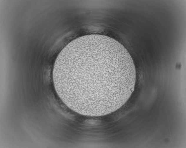 X0000113170745200910161307
