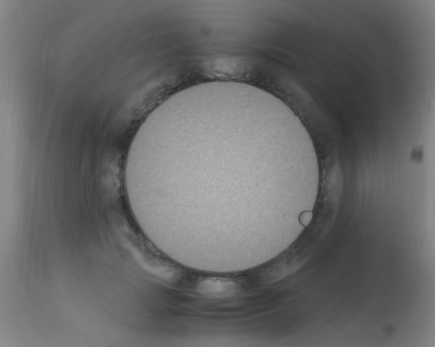 X0000113170749200910161307