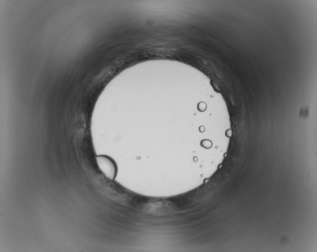 X0000113170752200910161307