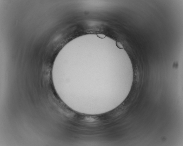 X0000113170753200910161307