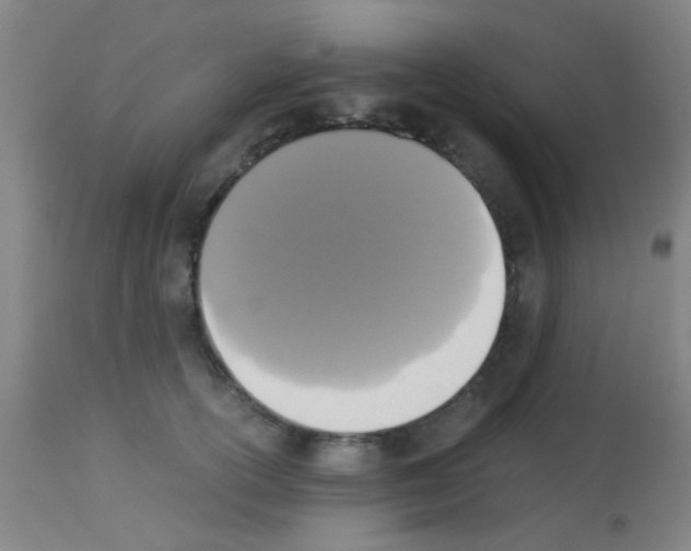 X0000113170754200910161307