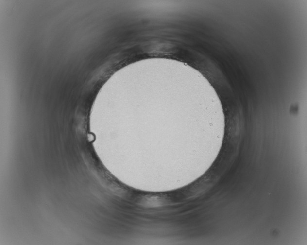 X0000113170755200910161307