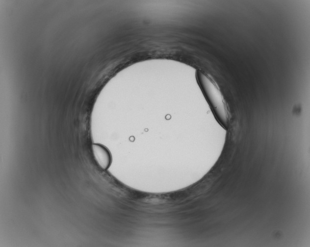 X0000113170756200910161307