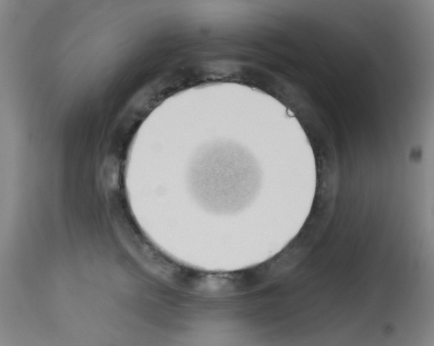 X0000113170758200910161307