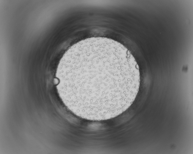 X0000113170759200910161307