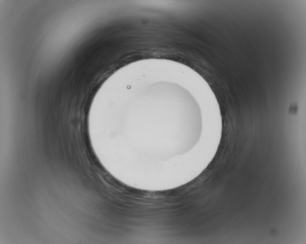 X0000113170760200910161307
