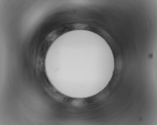 X0000113170761200910161307