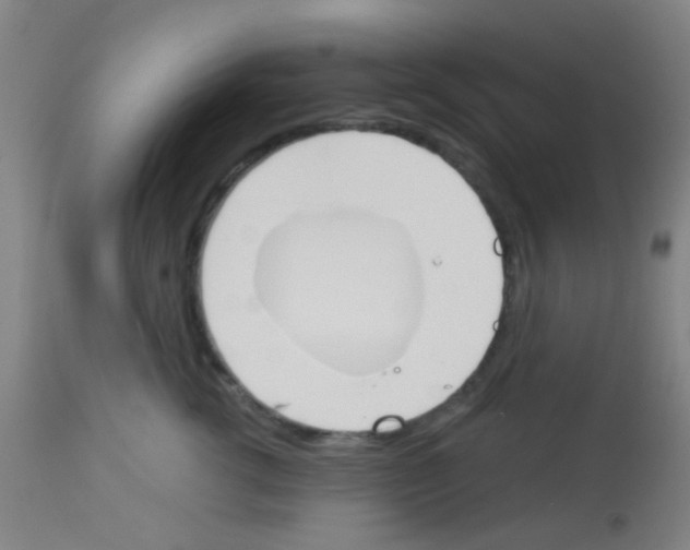 X0000113170762200910161307