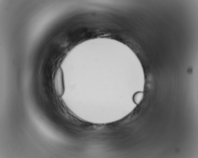 X0000113170763200910161307