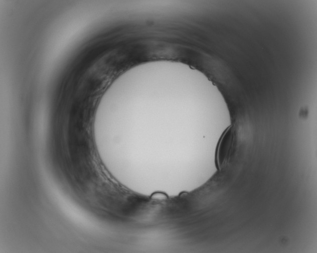 X0000113170764200910161307
