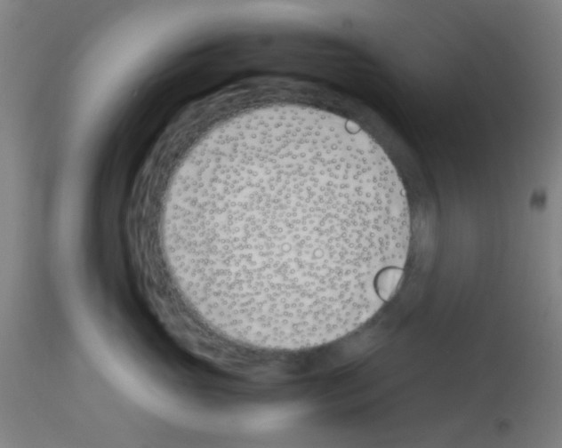 X0000113170765200910161307